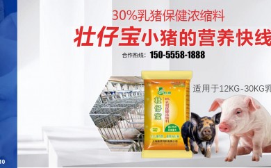 时润饲料